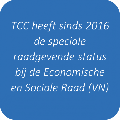 Consultative Status VN
