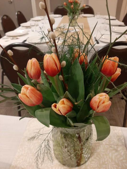 Chilliwack tulips