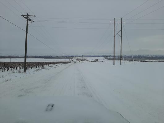 Washington State snow