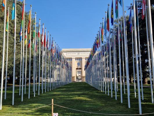 Flags Geneva