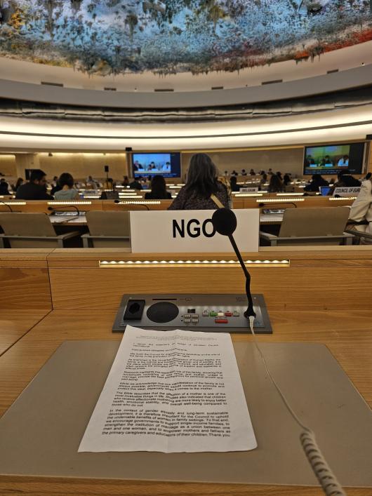 UN Geneva NGO oral statement
