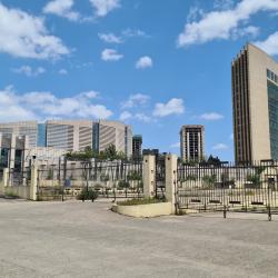 African Union