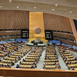 General Assembly