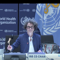 Closure of the 13th INB Session