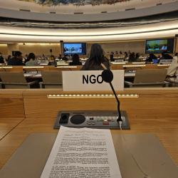 UN Geneva NGO oral statement