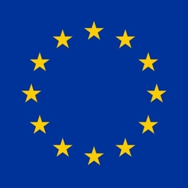 EU flag