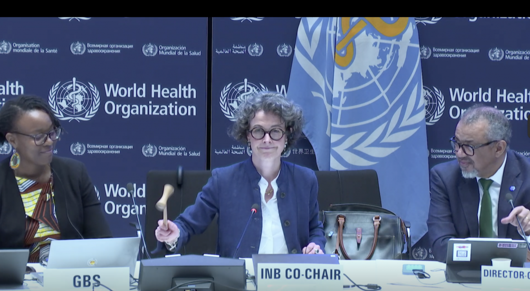 Closure of the 13th INB Session