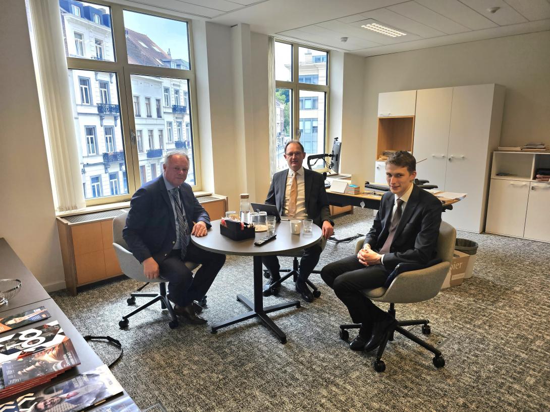 Henk Jan, Bert-Jan Ruissen, Wilmer Hak in Europees Parlement